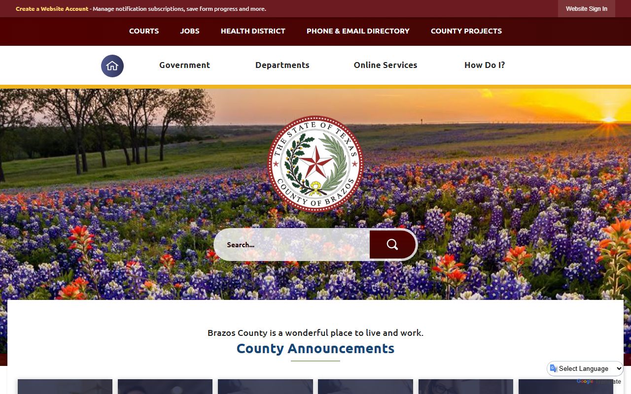 brazos county official website dissolution of marriage records