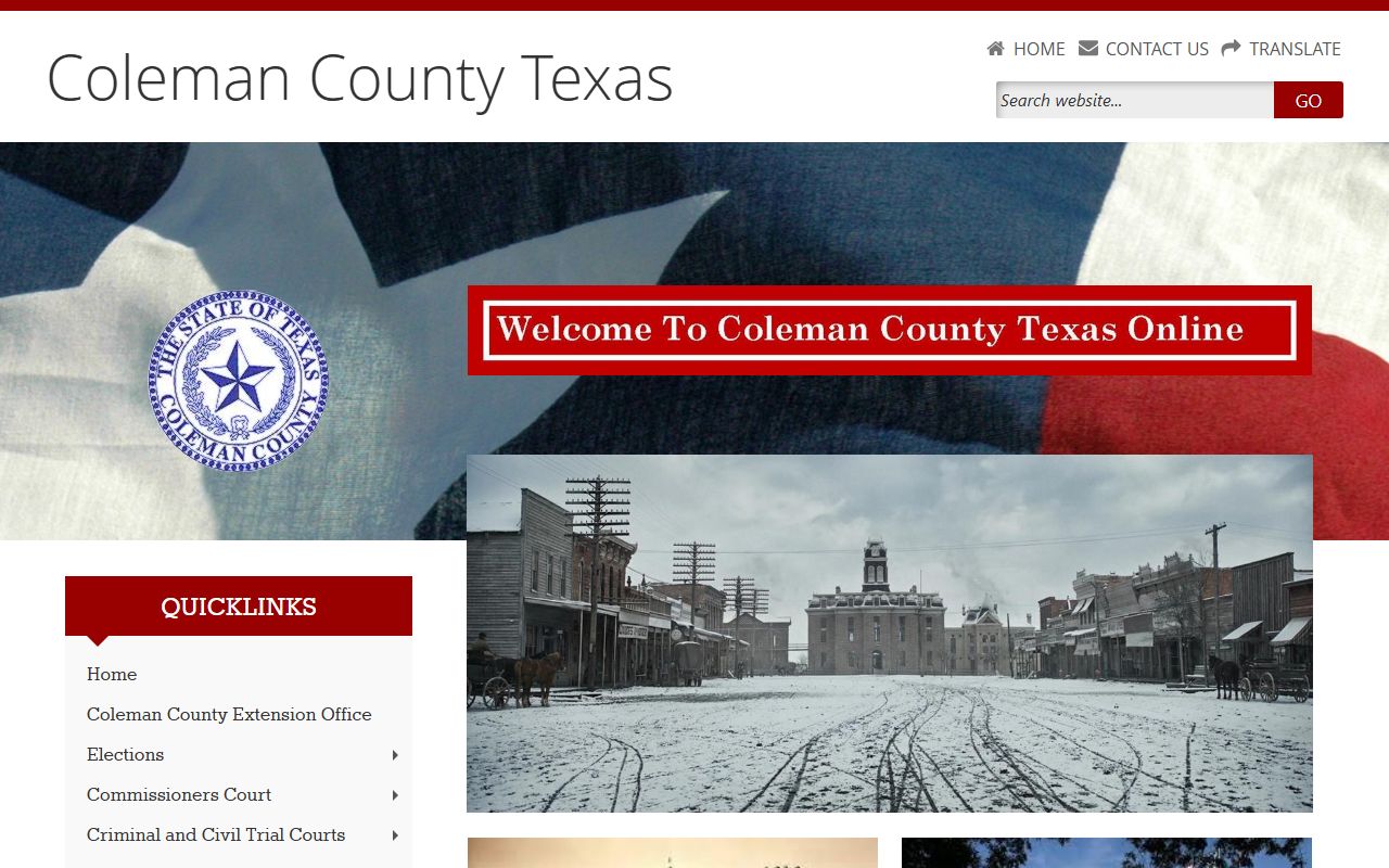 coleman county dissolution of marriage official county website